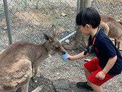-可伦宾野生动物保护区