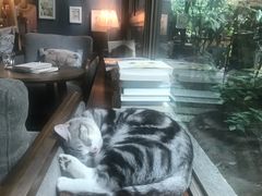 -咖法森林·咖啡  酒吧(天河店)