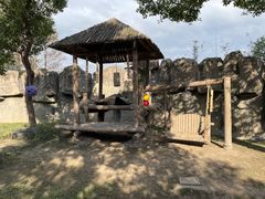-上海野生动物园
