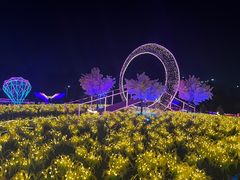 -海上田园