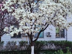 -中国医科大学附属盛京医院大连医院(总院)