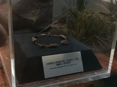 -北京周口店北京人遗址博物馆