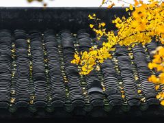 -佛荫寺