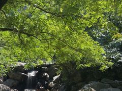 -白水冲瀑布