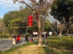 -中山市树木园