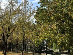 -白塘生态植物园