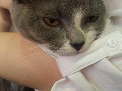 android_upload_pic-MIKAKU(万达广场上海宝山店)