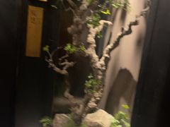 -苏淮景·苏闽融创菜·海鲜(原空港井河轩店)