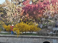 -元大都城垣遗址公园