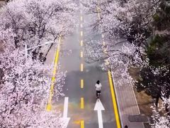 -吉林大学(南岭校区)
