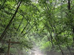-本溪汤沟绿石谷森林公园
