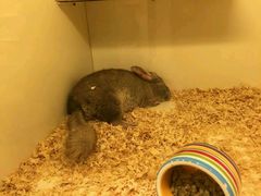 android_upload_pic-龙猫仔乐园(惠福东路店)