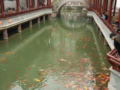 -龙潭水乡