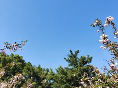 -观澜湖生态运动公社