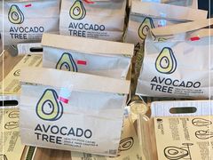 -油梨树AVOCADO TREE(望京店)