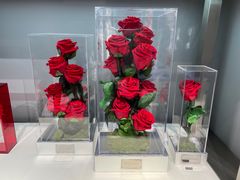 -ROSEONLY诺誓(广州K11店)