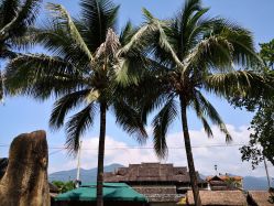 -Bollins波林丝•专研护发中心