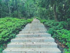 -岳麓山风景名胜区