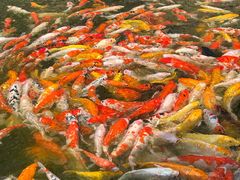 -番禺宾馆丽苑厅