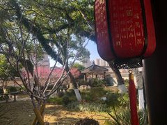 -墨池公园