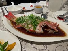 -東海薈。拉斐特(青衣城店)