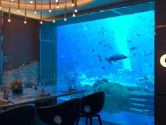 -亚特兰蒂斯•OSSIANO奥西亚诺海底餐厅