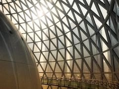 -陕西自然博物馆