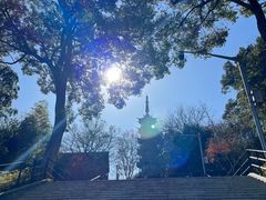 -上海佘山国家森林公园西佘山园