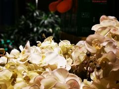 -大鸭梨烤鸭(枣园店)