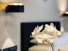 -上海璞麗酒店
