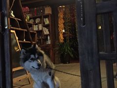 -嘉华鲜花饼(束河店)