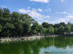 -莲湖公园