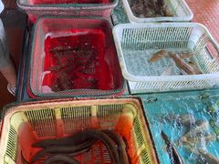 -沙头涌渔栏海鲜餐厅