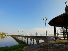 -洪湖生态旅游区