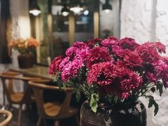 -Apollo·西班牙小酒馆(安福路店)