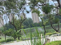 -熙古里艺术村