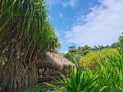 -中国科学院西双版纳热带植物园