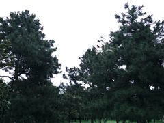 -洨河生态公园