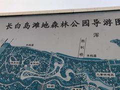 -长白岛森林公园