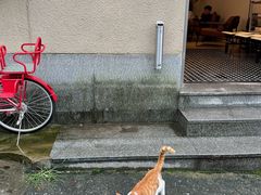 -杭州西湖风景名胜区-满觉陇四眼井