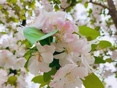 -元大都城垣遗址公园