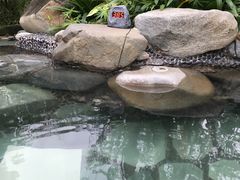 -台山颐和温泉城