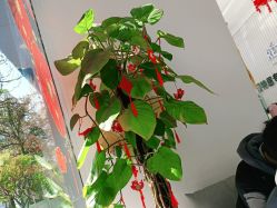 -蕾特恩专业祛痘·皮肤管理