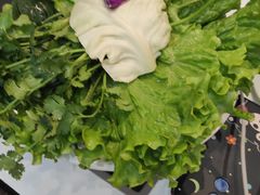 -德龙火锅(松源街直营店)