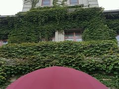 -半岛公馆(淞兴西路店)