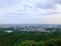 -紫金山天文台
