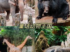 -长鹿旅游休博园
