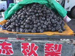 -蒲河大集