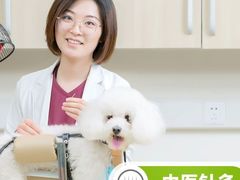 -纳吉亚猫专科动物医院博雅分院