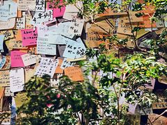 -时光花园(白鹭洲店)